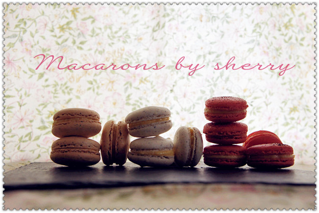 Macarons (1)_副本626.jpg